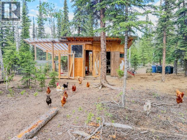 17 Canyon Road, Haines Junction, Yukon  Y0B 1L0 - Photo 62 - 17435